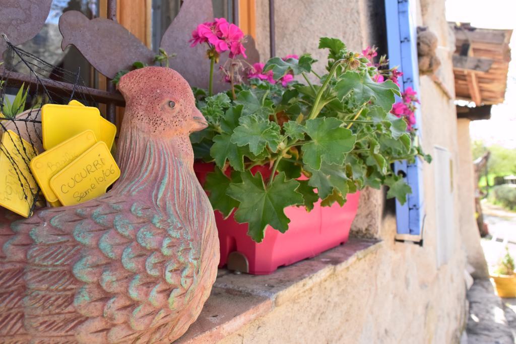 Hôtel Ferme Saint Pierre à Bargème Extérieur photo